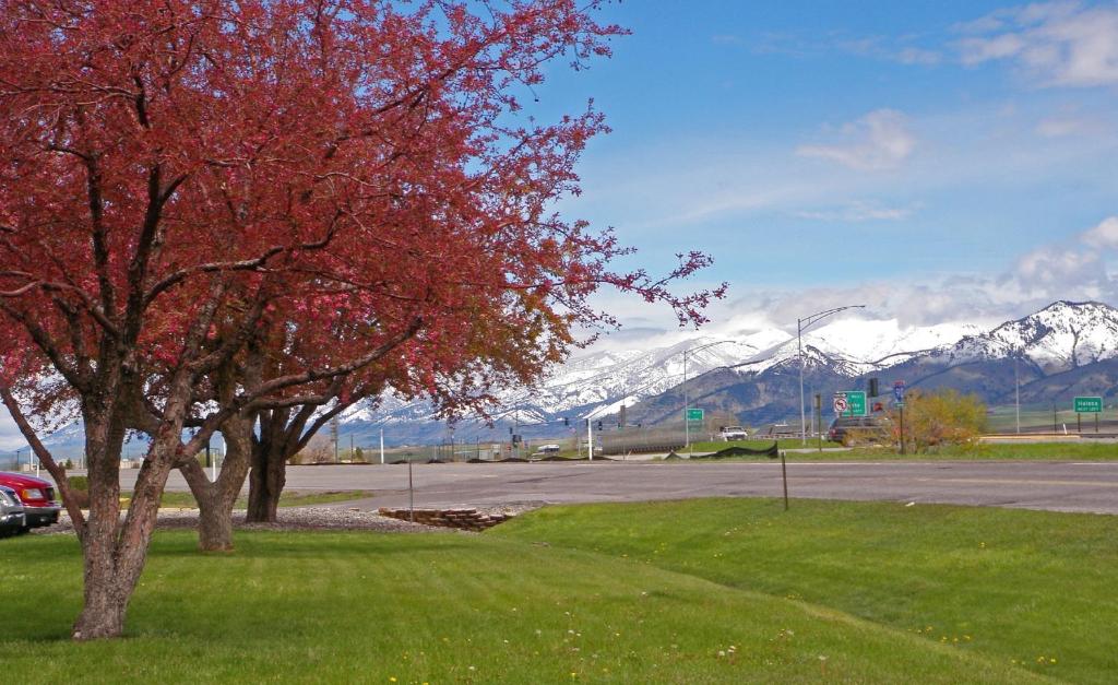 Holiday Inn Bozeman an IHG Hotel Main image 1